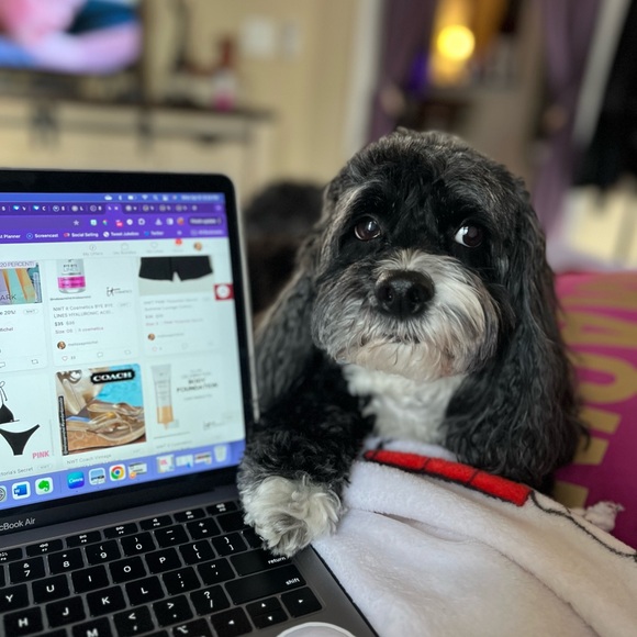 Meet your Posher, Melissa 💜 - Picture 2 of 15